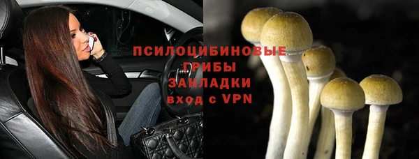 ГАЛЛЮЦИНОГЕННЫЕ ГРИБЫ Белокуриха