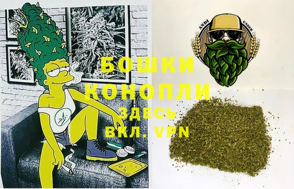 ГАЛЛЮЦИНОГЕННЫЕ ГРИБЫ Белокуриха