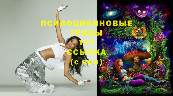 первитин Белоозёрский