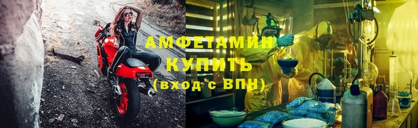 ГАЛЛЮЦИНОГЕННЫЕ ГРИБЫ Белокуриха