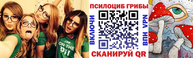 Купить где  Саров  Галлюциногенные грибы ЛСД 